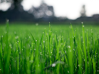 irrigation systems